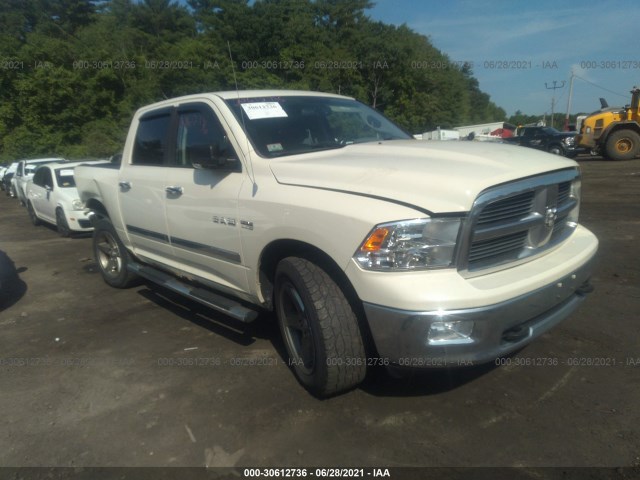 DODGE RAM 1500 2010 1d7rv1ct3as227764