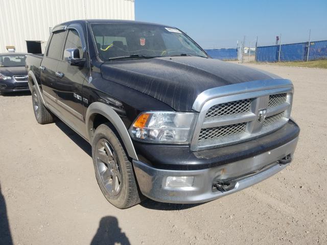 DODGE RAM 1500 2010 1d7rv1ct4as124515