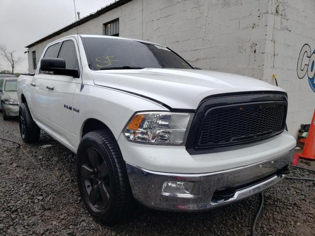 DODGE RAM 1500 2010 1d7rv1ct4as128483