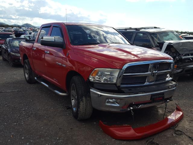 DODGE RAM 1500 2010 1d7rv1ct4as128595