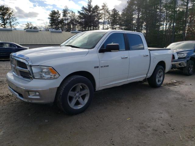 DODGE RAM 1500 2010 1d7rv1ct4as168711