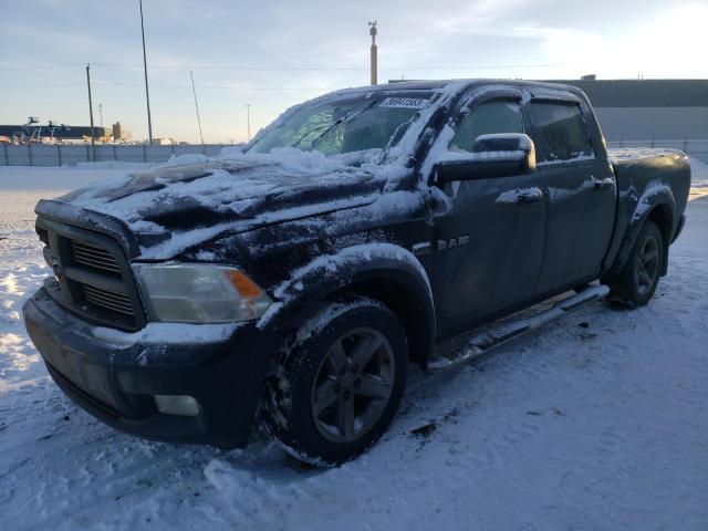 DODGE RAM 1500 2010 1d7rv1ct4as255685