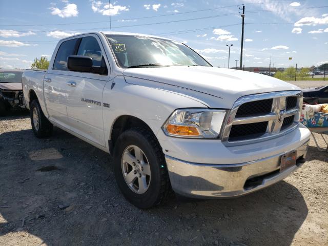 DODGE RAM 1500 2011 1d7rv1ct4bs619217