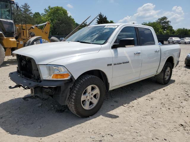 DODGE RAM 1500 2011 1d7rv1ct4bs619220