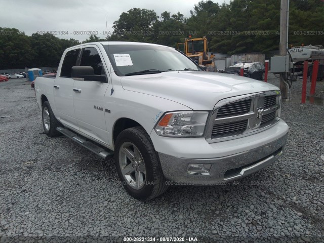 DODGE RAM 1500 2010 1d7rv1ct5as153814