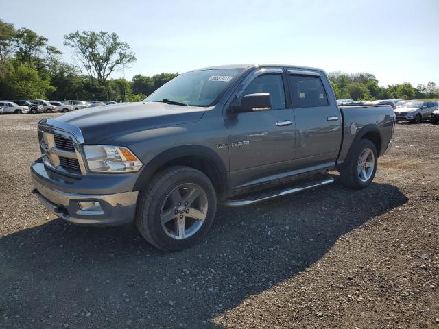 DODGE RAM 1500 2010 1d7rv1ct5as158107