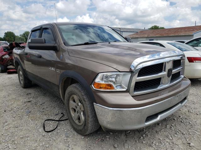 DODGE NULL 2010 1d7rv1ct5as170774