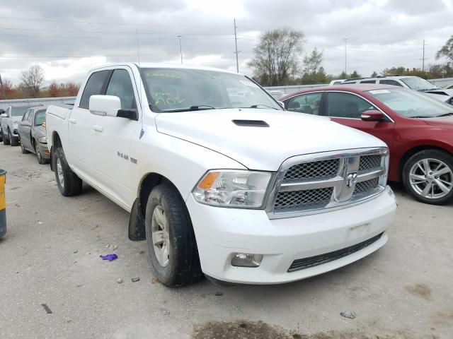 DODGE RAM 1500 2010 1d7rv1ct5as181290