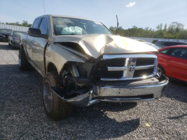 DODGE NULL 2011 1d7rv1ct5bs645518