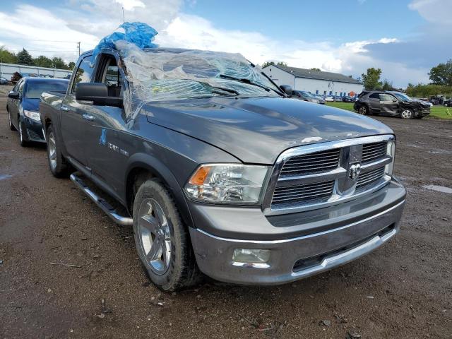 DODGE RAM 1500 2010 1d7rv1ct6as100555