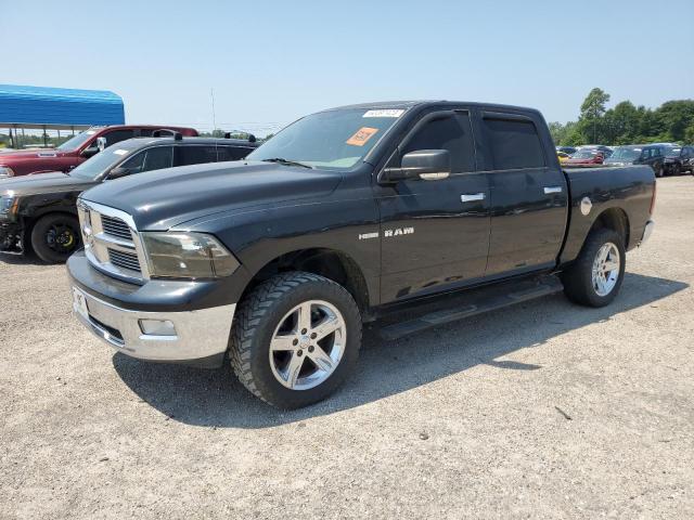 DODGE RAM 1500 2010 1d7rv1ct6as120286