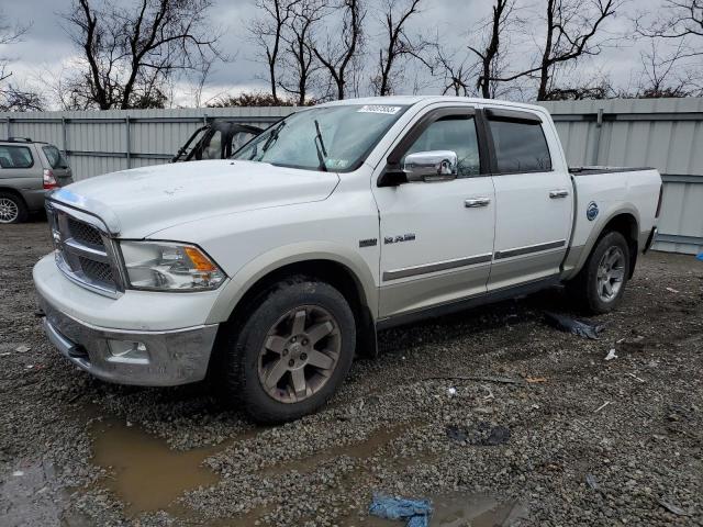 DODGE ALL MODELS 2010 1d7rv1ct6as125505