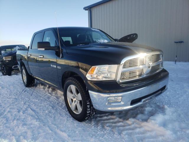 DODGE RAM 1500 2010 1d7rv1ct6as259687