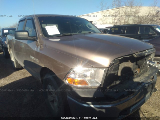 DODGE RAM 1500 2010 1d7rv1ct7as169710