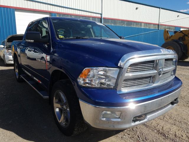 DODGE RAM 1500 2011 1d7rv1ct7bs599755