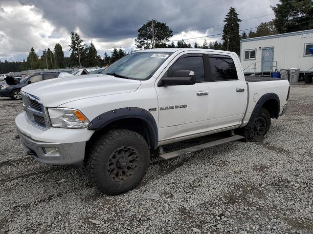 DODGE RAM 1500 2011 1d7rv1ct7bs642250