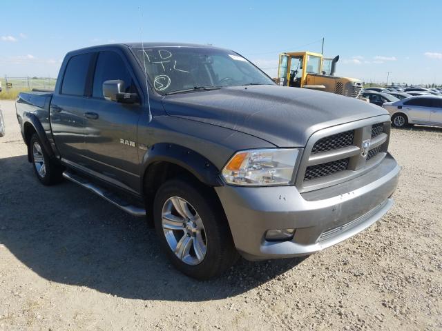 DODGE RAM 1500 2010 1d7rv1ct8as122900