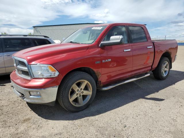 DODGE RAM 1500 2010 1d7rv1ct8as254166