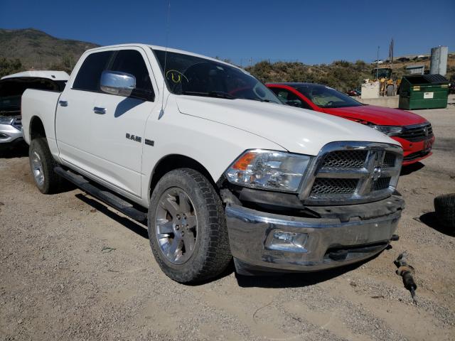 DODGE RAM 1500 2010 1d7rv1ct8as254863