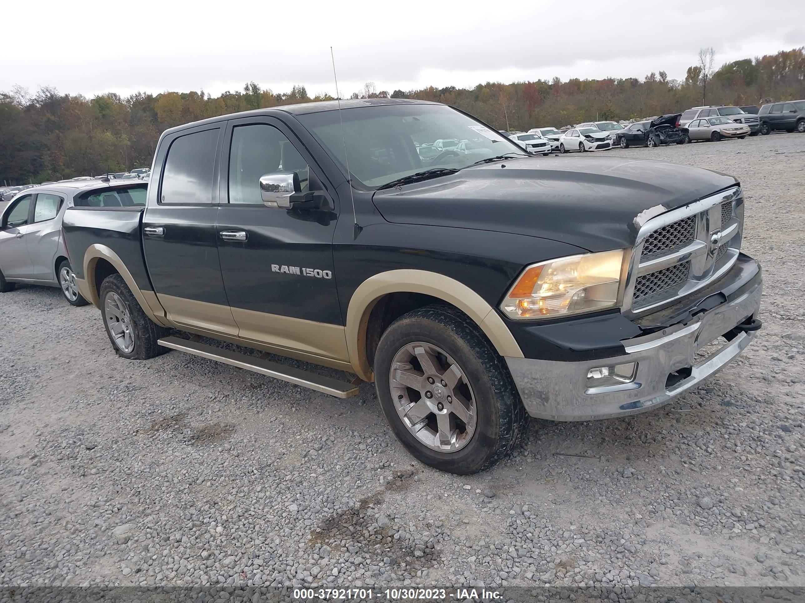 RAM 1500 2011 1d7rv1ct8bs570751