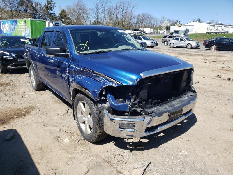 DODGE RAM 1500 2011 1d7rv1ct8bs578610