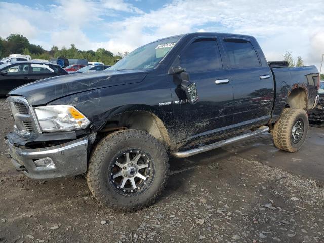 DODGE RAM 1500 2010 1d7rv1ct9as114014