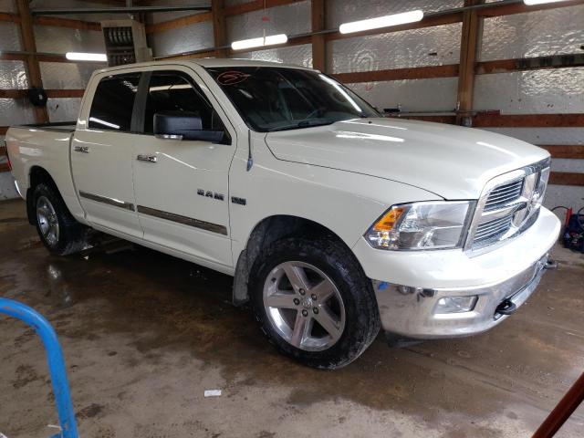 DODGE RAM 1500 2010 1d7rv1ct9as227980