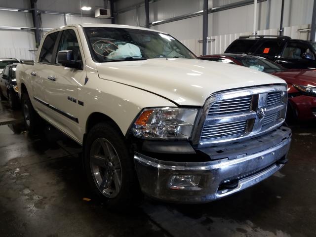 DODGE RAM 1500 2010 1d7rv1ct9as234136