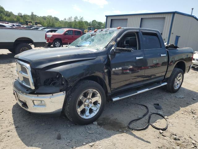 DODGE RAM 1500 2010 1d7rv1ct9as256704