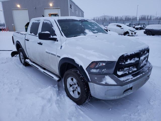 DODGE RAM 1500 2011 1d7rv1ct9bs524720