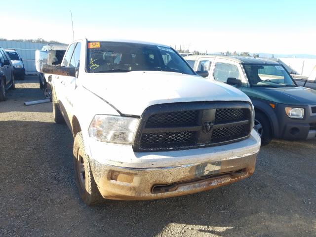 DODGE RAM 1500 2011 1d7rv1ct9bs571360