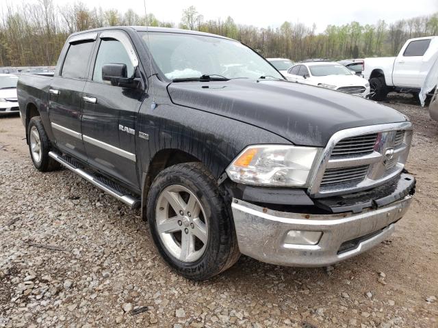 DODGE RAM 1500 2010 1d7rv1ctxas123465