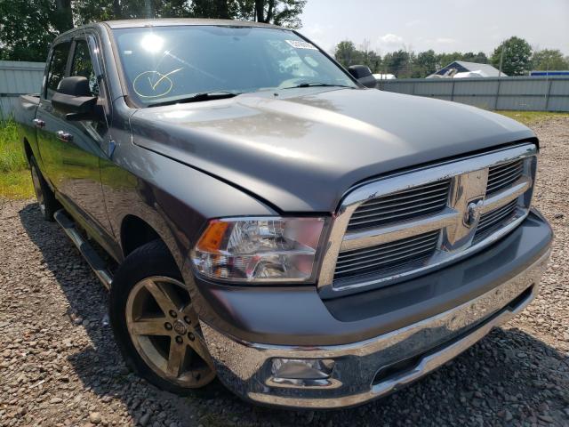 DODGE RAM 1500 2010 1d7rv1ctxas186825