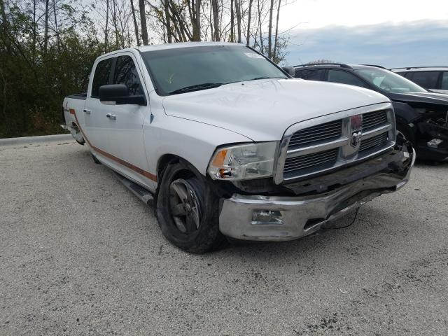 DODGE RAM 1500 2010 1d7rv1ctxas198523