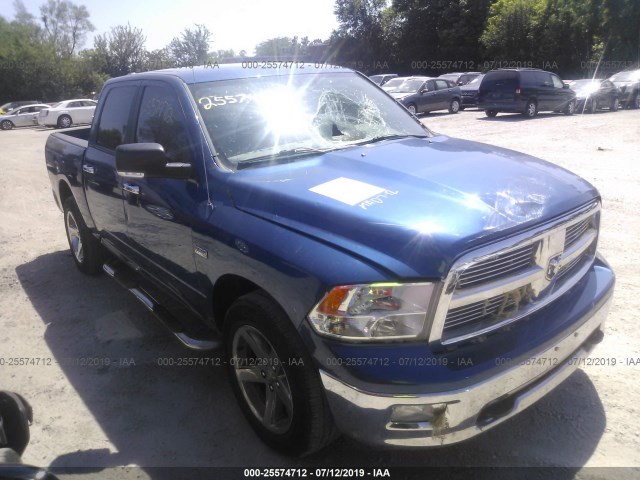 DODGE RAM 1500 2010 1d7rv1ctxas244271