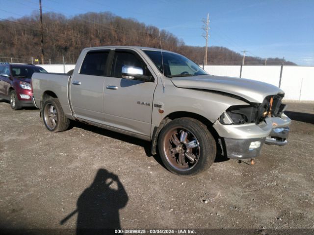 DODGE RAM 1500 2010 1d7rv1ctxas258008