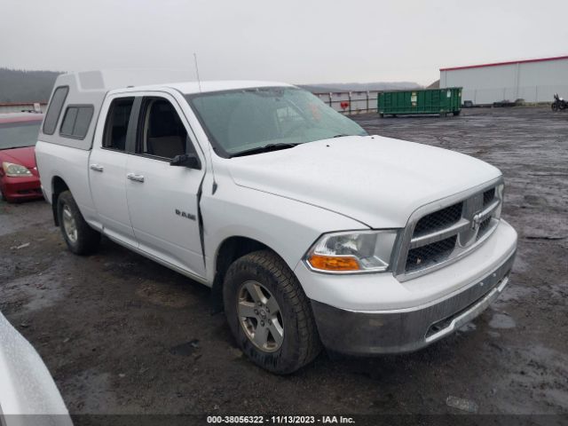 DODGE RAM 1500 2010 1d7rv1gp0as135914