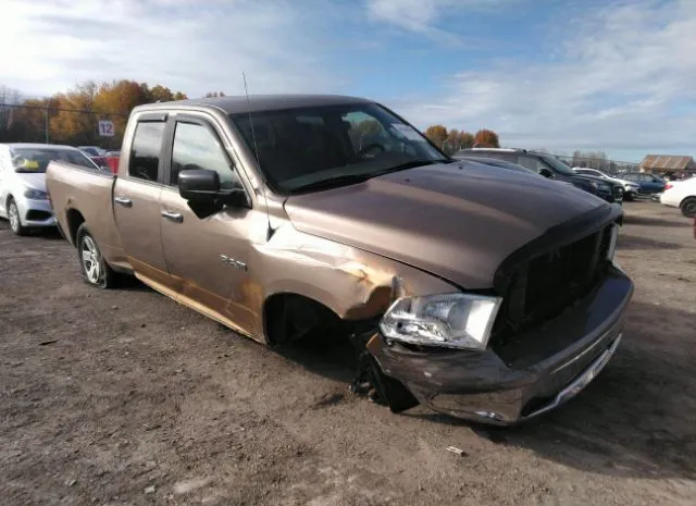 DODGE RAM 1500 2010 1d7rv1gp0as225712