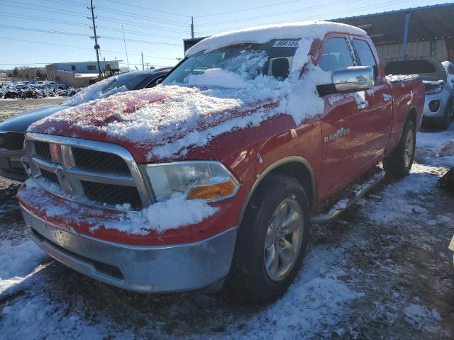 DODGE ALL MODELS 2011 1d7rv1gp0bs652132