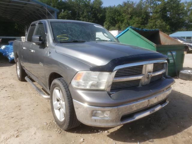 DODGE RAM 1500 2010 1d7rv1gp1as118913