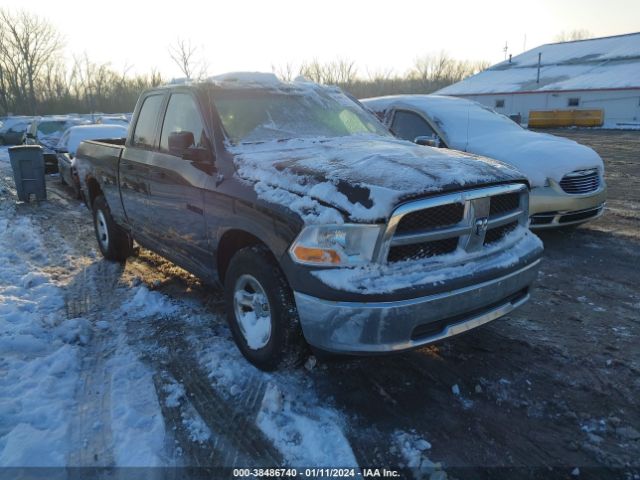 DODGE RAM 1500 2010 1d7rv1gp1as199735