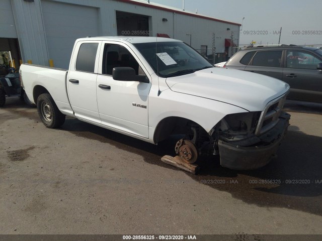 DODGE RAM 1500 2010 1d7rv1gp1as200642