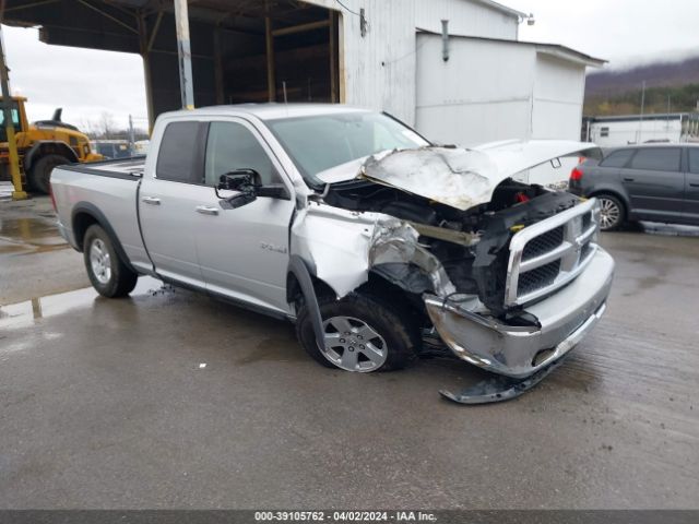 DODGE RAM 1500 2010 1d7rv1gp2as102316