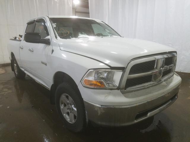 DODGE RAM 1500 2010 1d7rv1gp2as102882