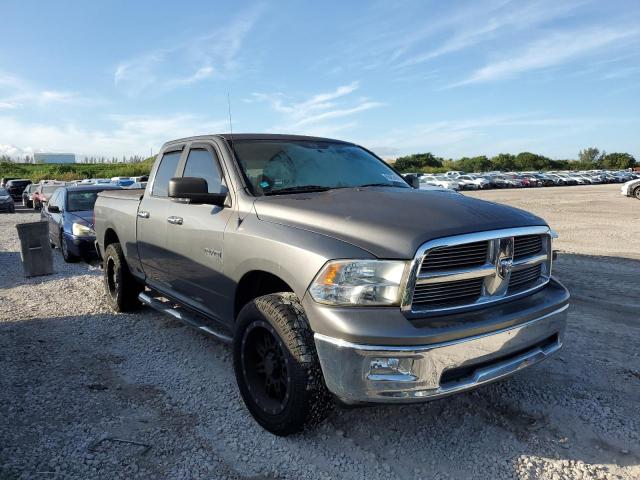 DODGE RAM 1500 2010 1d7rv1gp2as142363