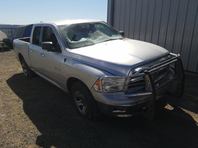 DODGE RAM 1500 2010 1d7rv1gp2as160944