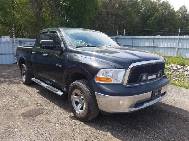 DODGE RAM 1500 2010 1d7rv1gp2as174343