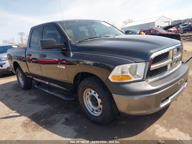 DODGE RAM 1500 2010 1d7rv1gp2as216591