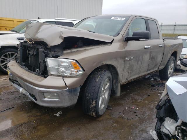 DODGE RAM 1500 2010 1d7rv1gp3as116337