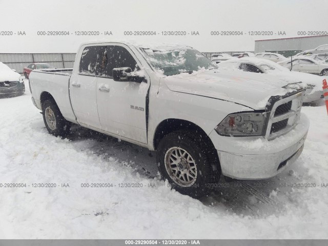 DODGE RAM 1500 2010 1d7rv1gp3as160404